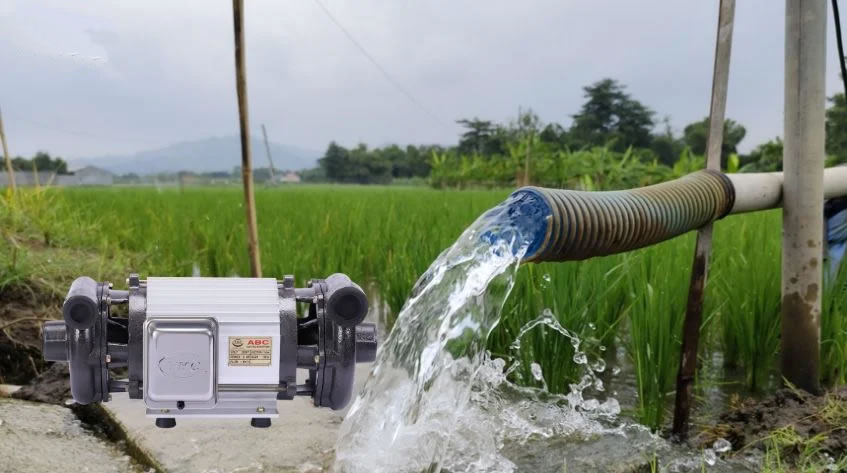 Máy bơm nước giếng khoan gia đình Vinh Nghệ An